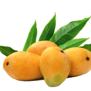 Kesar |mango | Trishiva Trixem