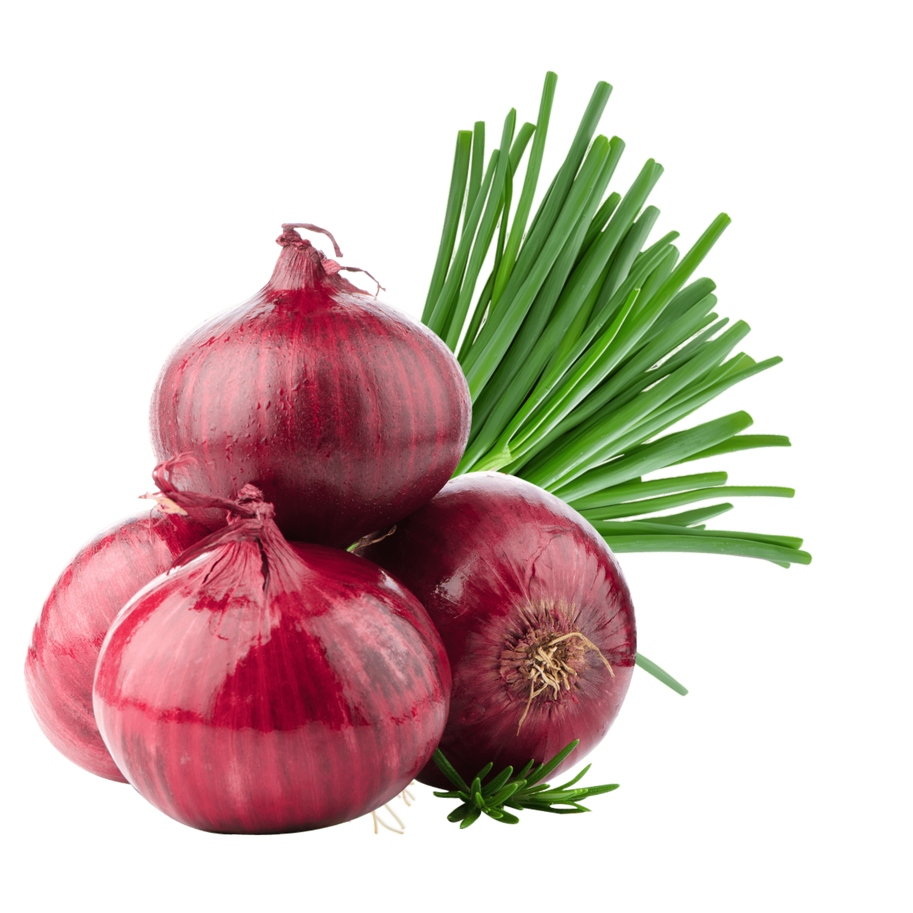 Onion - Trishiva Exim