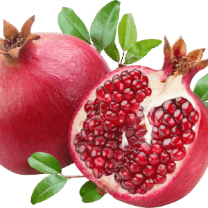 Pomogradent - Trishiva Exim