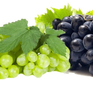 Grapes - Trishiva exim